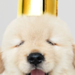 Meet your Posher, Brooklyn